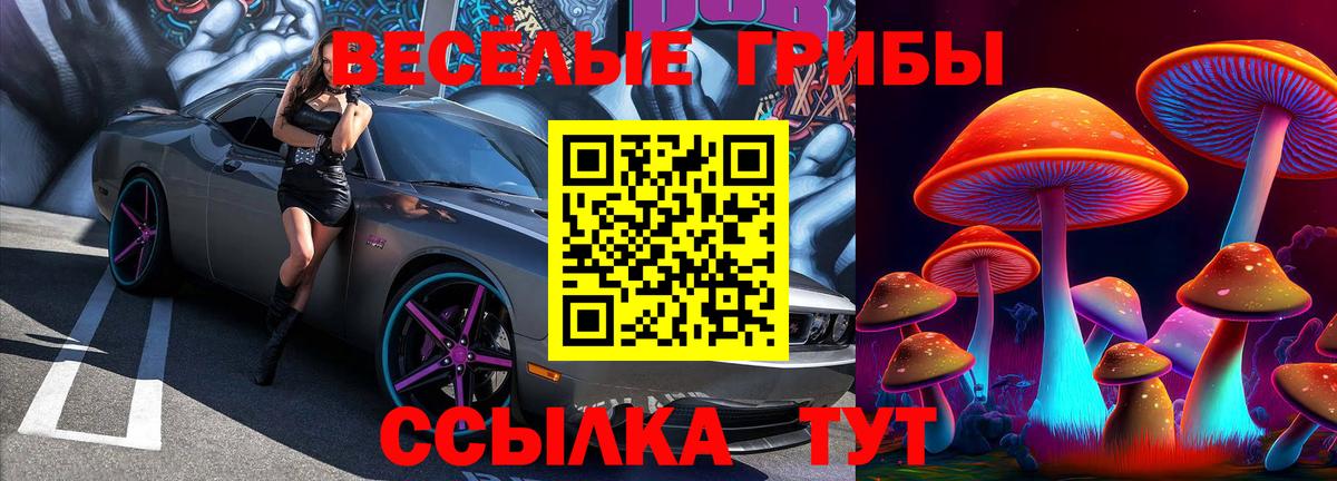 Северск  Галлюциногенные грибы мухоморы  магазин продажи наркотиков  Галлюциногенные грибы прущие грибы  Вход с VPN 